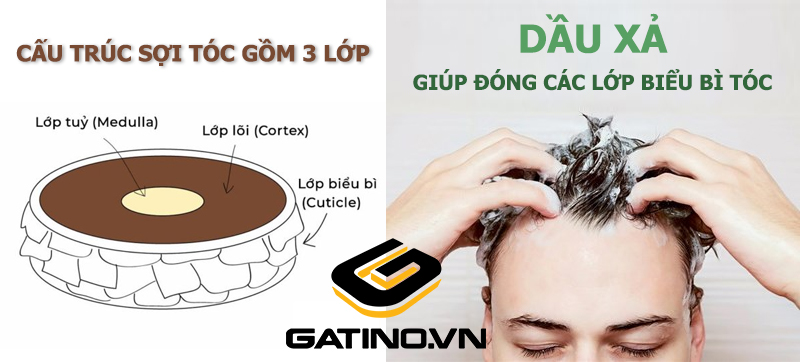 Dầu dừa có tác dụng gì Cách sử dụng dầu dừa dưỡng tóc